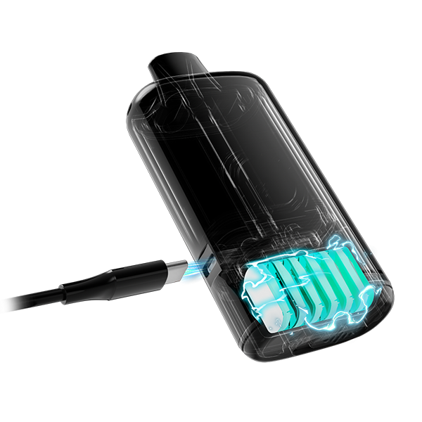 1100mAh Rechargeable Battery